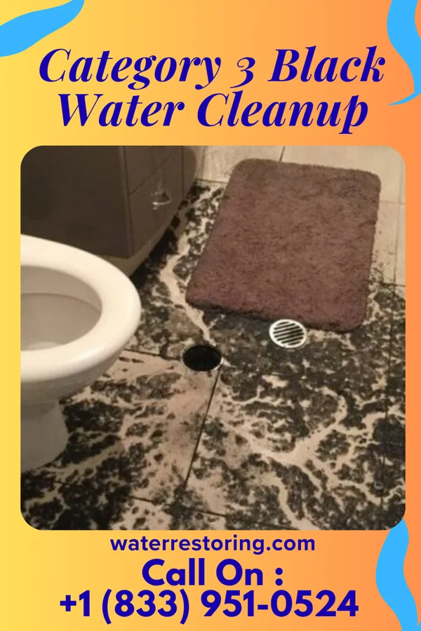Category 3 Black Water Cleanup in Sterling, OK